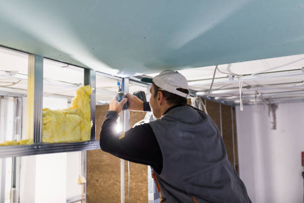 Best Cellulose Insulation in Arapahoe, NE
